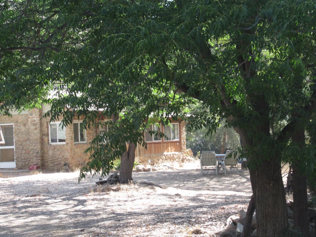 5.The old stone cottage where we lived while we built Taleisin .JPG